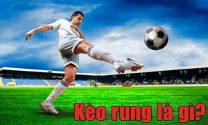 keo-rung-la-keo-cuoc-co-tinh-linh-hoat-trong-moi-thoi-diem-MayClub-min_11zon